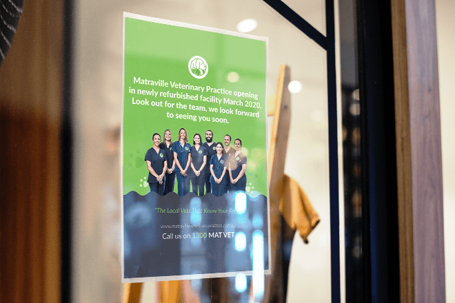 Matraville Veterinary Practice graphic design work