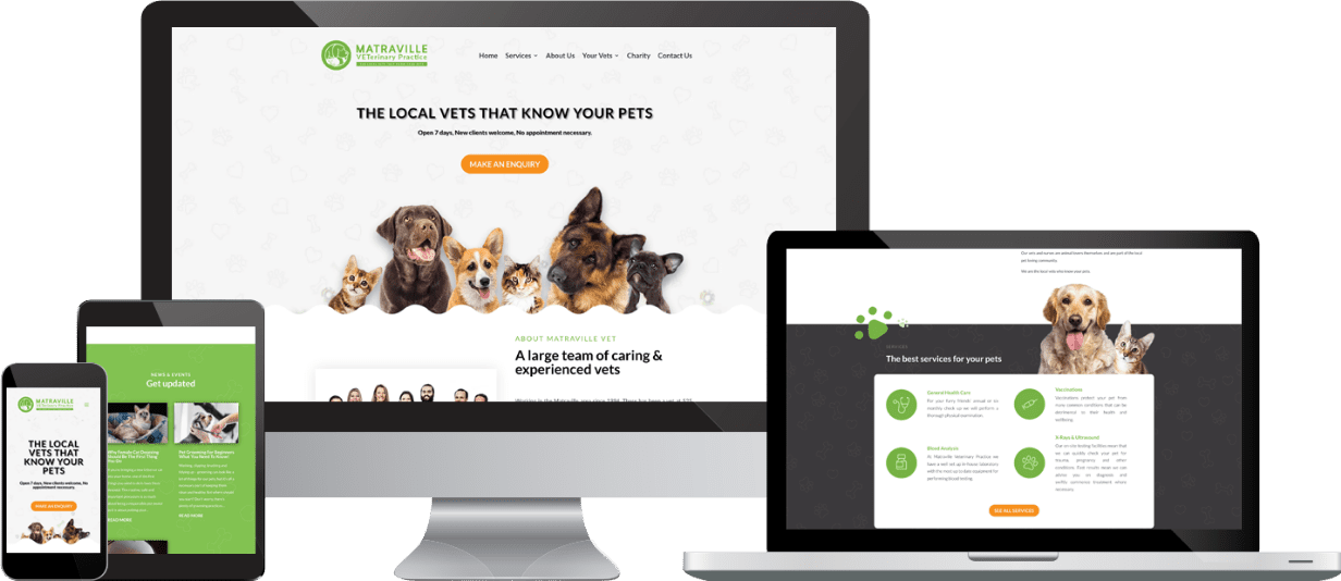 Matraville Veterinary Clinic organic SEO case study